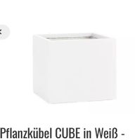 Pflanzwerk Cube weiß Nordrhein-Westfalen - Oer-Erkenschwick Vorschau