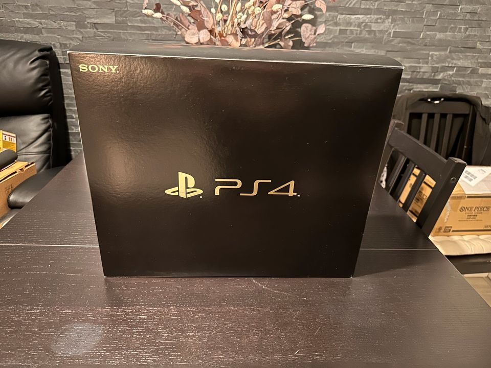 Playstation 4 Konsolen Sammlung in Waiblingen