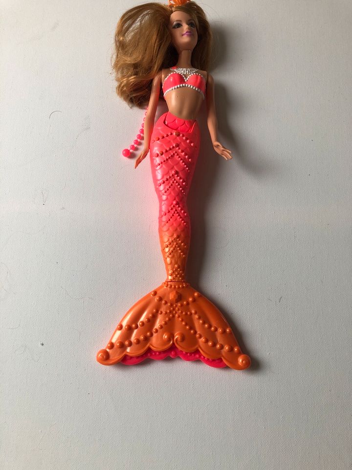 Meerjungfrau Barbie in Großhabersdorf