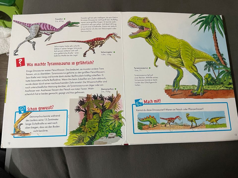 Wieso,Weshalb,Warum und Was ist Was Bücher, Dino in Elztal