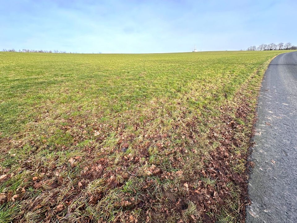 Arrondiertes Grünland in Wipperfürth in Wipperfürth