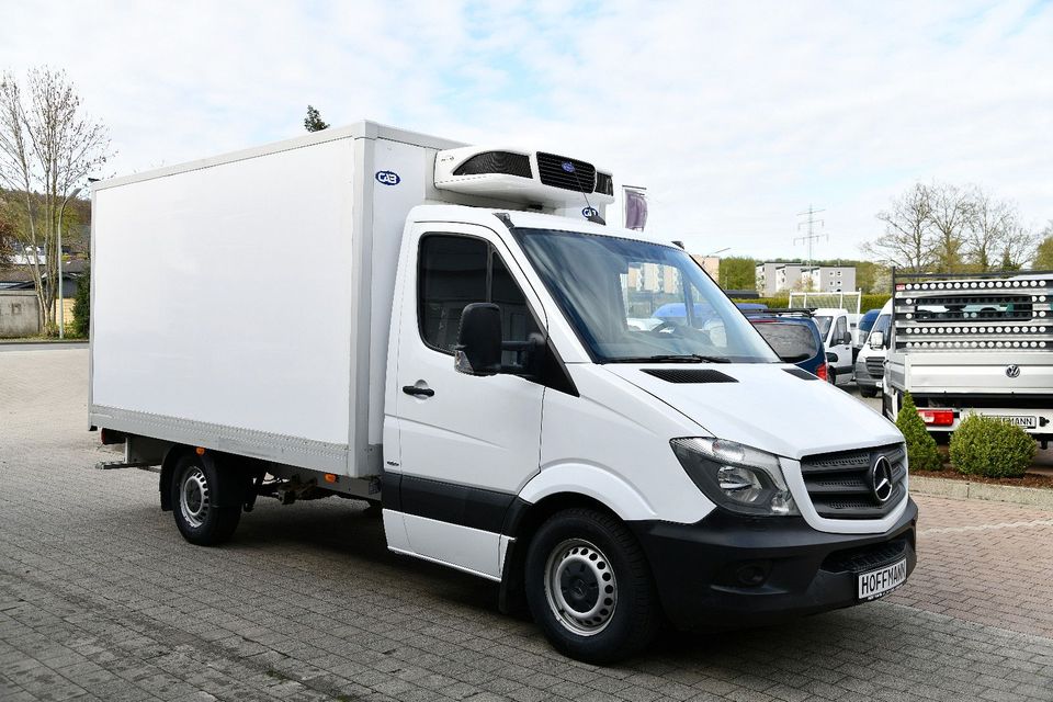 Mercedes-Benz Sprinter 311 CDI Kühlkoffer Carrier 3 ° C in Meschede