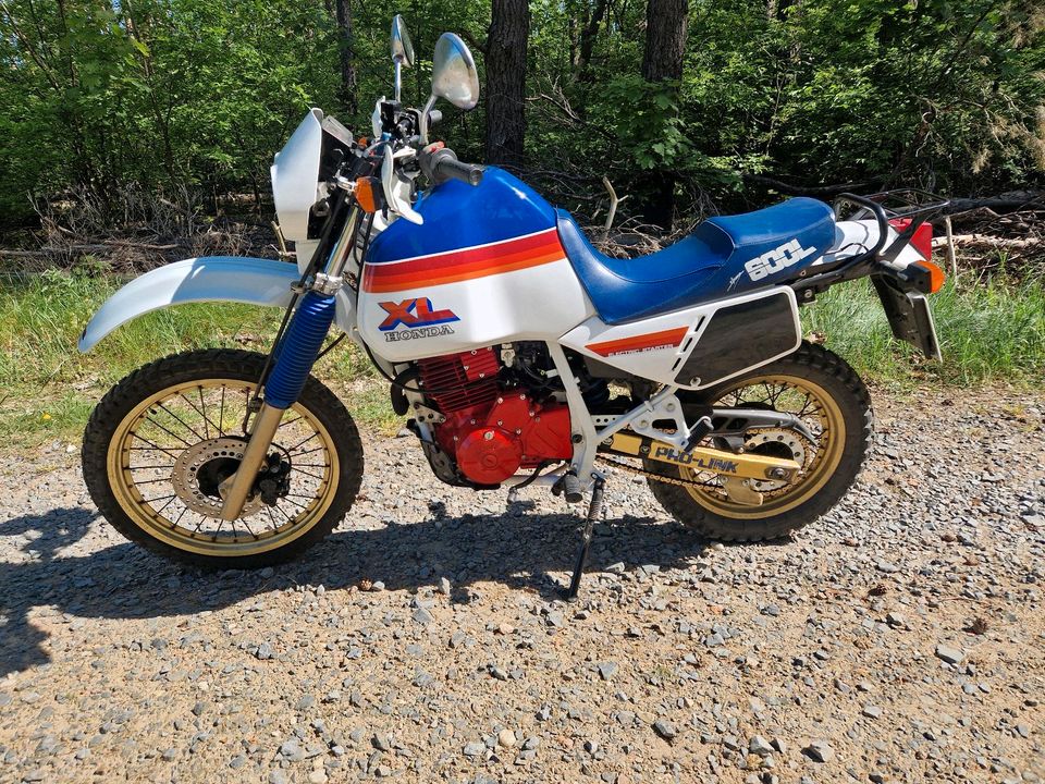 Honda XL600 LM PD04 restauriert in Eberswalde