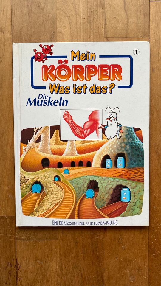 Mein Körper - Was ist das? die Muskeln - Buch für Kinder in Köln