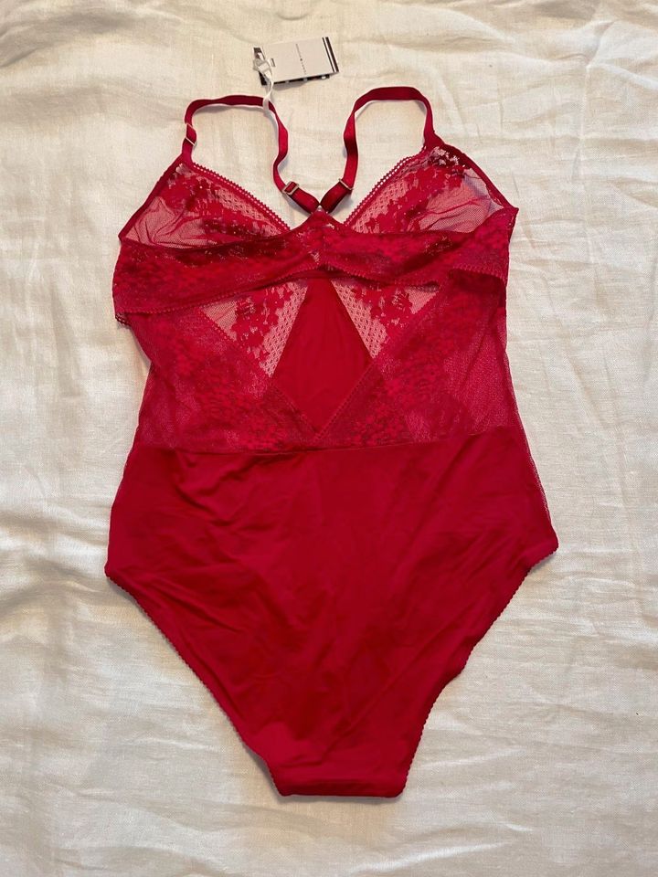 Tommy Hilfiger Damen Body Gr. M oder XL beere rot Neu in Hamm