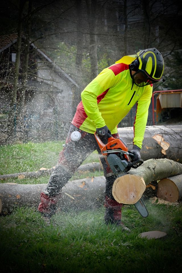 Baumfällung Baum fällen Baumfäller Baumfällarbeiten in Rösrath