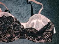 Primadonna Twist BH "by night" crème 85C NEU Bayern - Kemnath Vorschau