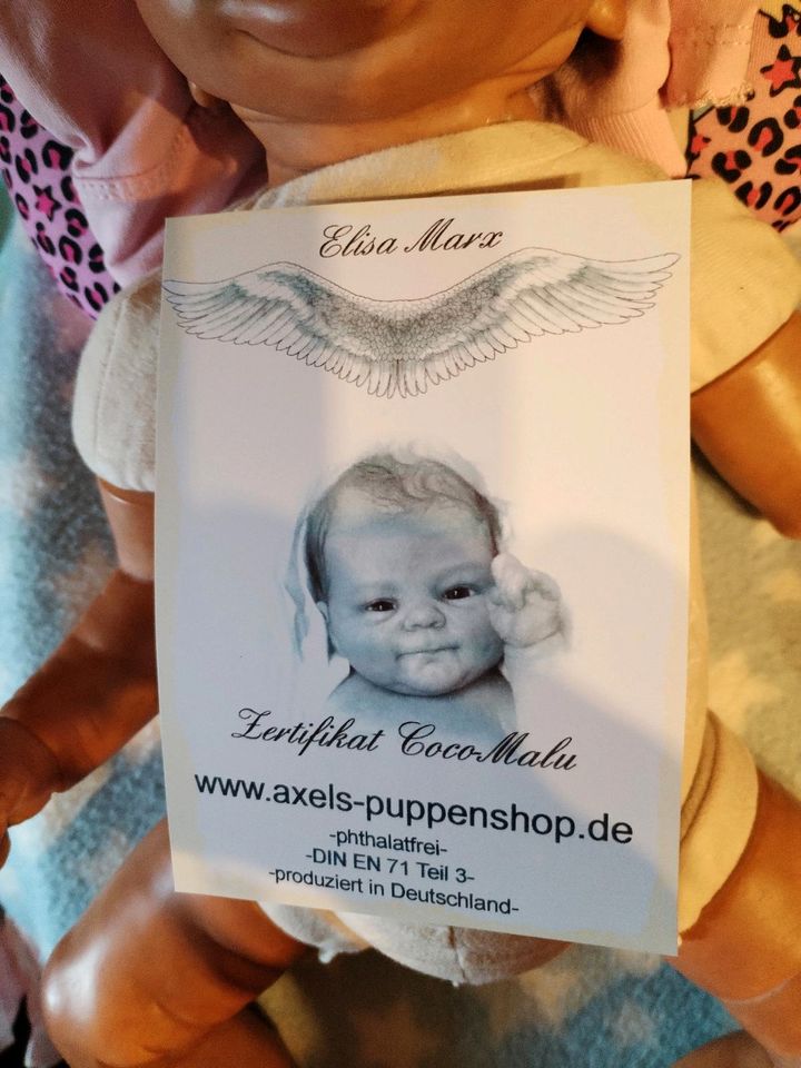 Reborn Babys Sammlung Auflösung in Essen