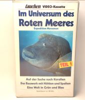 Tauchen /  Im Universum des Roten Meeres Bayern - Volkach Vorschau