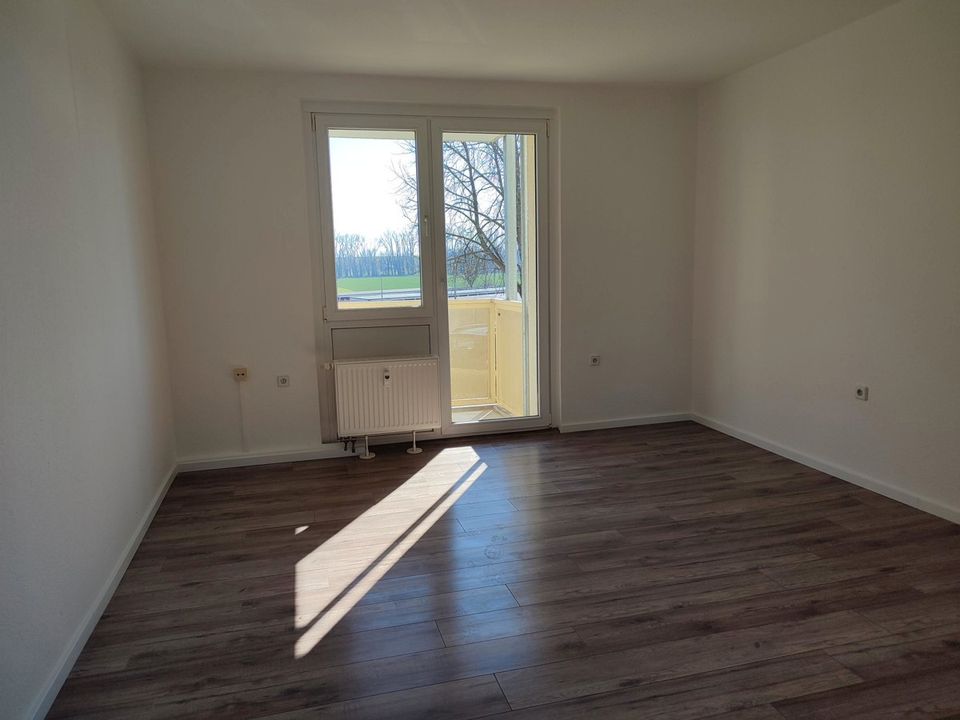 **Helle 3 Raumwohnung mit Balkon und schönen Ausblick** in Riesa