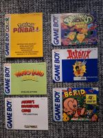 Nintendo Game Boy Anleitungen Pokemon, Mario Land 3 etc. Schwerin - Lankow Vorschau