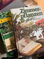 Zimmerpflanzen Bücher Hannover - Döhren-Wülfel Vorschau