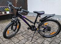 Kinder Fahrrad, TREK Precaliber 20 Zoll, Alu- Mountainbike, MTB Rheinland-Pfalz - Neunkhausen Vorschau