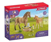 Schleich 42432 - Horse Club, Sarahs Tierbaby-Pflege Brandenburg - Werder (Havel) Vorschau