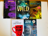 Paket Bücher Romane Jugendliche Exit Magnus Chase Wild Sherlock Brandenburg - Grunow Vorschau