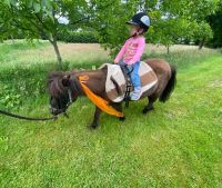 Ferienprogramm Ponys für Kinder: Schatzsuche spielerisches Reiten Niedersachsen - Gyhum Vorschau