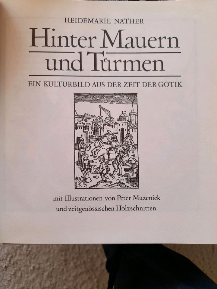 "HINTER MAUERN UND TÜRMEN"/Heidemarie Näther☆DDR Kinderbuch in Worbis