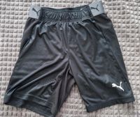 PUMA Training Shorts, Gr. 152 Dortmund - Innenstadt-West Vorschau