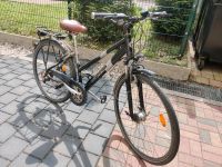 Torpedo Trekkingbike Fahrrad Damen 27,5 (neuer Sattel & Lenker) Leipzig - Altlindenau Vorschau