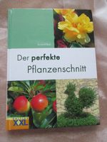 Der perfekte Pflanzenschnitt Richard Bird EDITION XXL 148 S. Brandenburg - Kyritz Vorschau