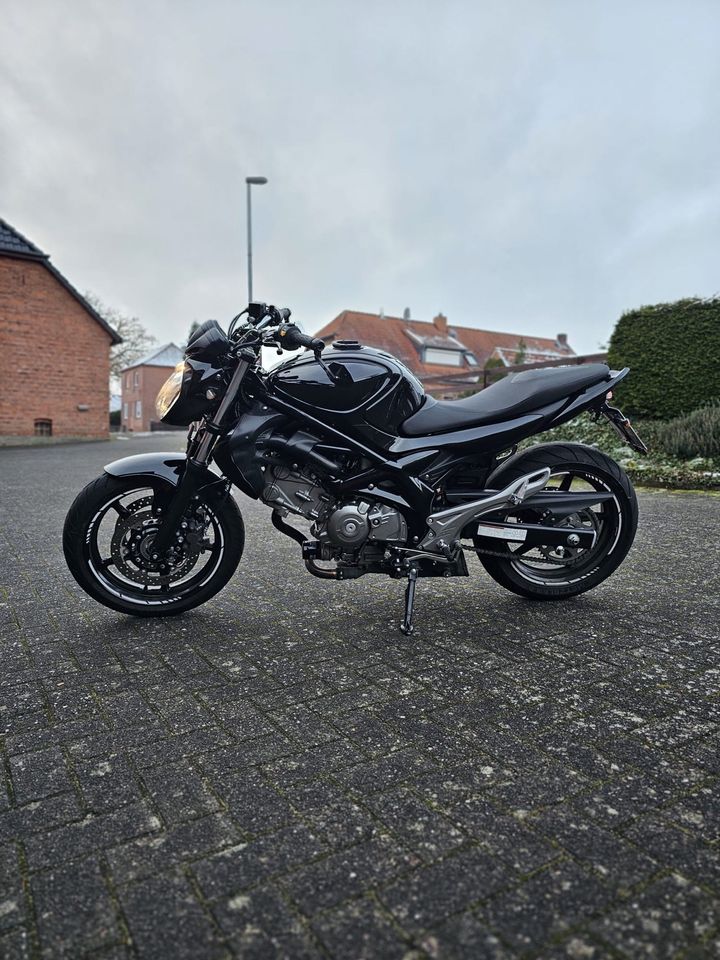 Suzuki Gladius SFV 650 mit ABS in Nienburg (Weser)