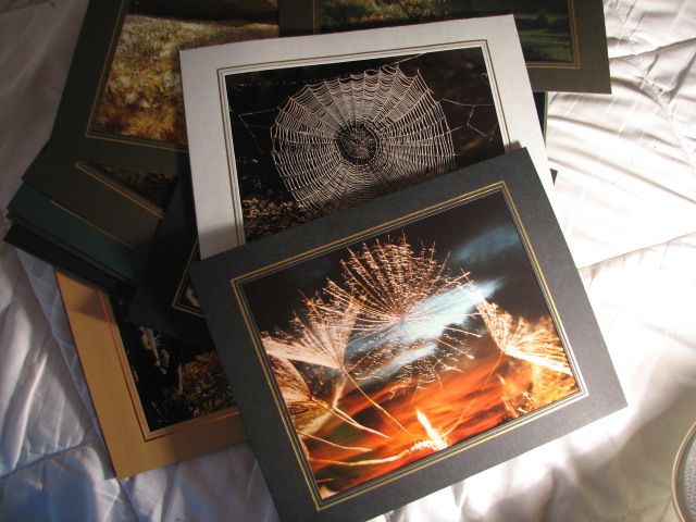 Foto Box Richard Stöbener Wasgau Photograph Natur Pfalz Trifels in Kirkel