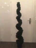 Thuja Qualität Kunstpflanze wie Buchsbaum Formschnitt Spirale neu Essen - Essen-Werden Vorschau