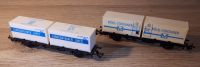 Spur TT 1:120 zwei Containerwaggons SET Nordrhein-Westfalen - Solingen Vorschau