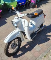 Moped Schwalbe Suhl KR51/1 Super Zustand Brandenburg - Treuenbrietzen Vorschau