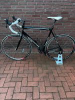 Haibike Hai Q Race RX Pro Ultegra Rennrad Niedersachsen - Lingen (Ems) Vorschau