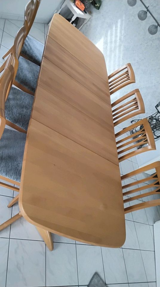 Esstisch Buche mit 8 Stühlen in Kisdorf