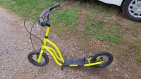 Stiga Air Scooter 12" Neon mit Bremsen sehr guter Zustand Baden-Württemberg - Waldshut-Tiengen Vorschau