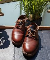 GALLUS Herrenschuhe Schuhe Leder braun Gr. 41 neuwertig TOP Essen - Essen-Ruhrhalbinsel Vorschau