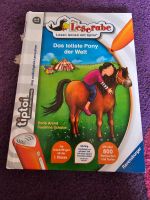 Tiptoi Buch - Das tollste Pony der Welt Hessen - Hofheim am Taunus Vorschau