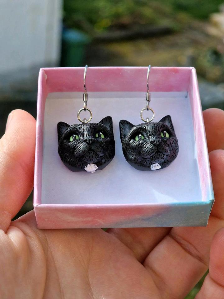 Ohrringe schwarze Katze Bombay Fell Tier Polymer Clay Rarität in Forchheim