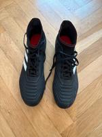 Adidas Predetor Fußballschuhe Gr. 47 1/2 Hamburg-Nord - Hamburg Barmbek Vorschau