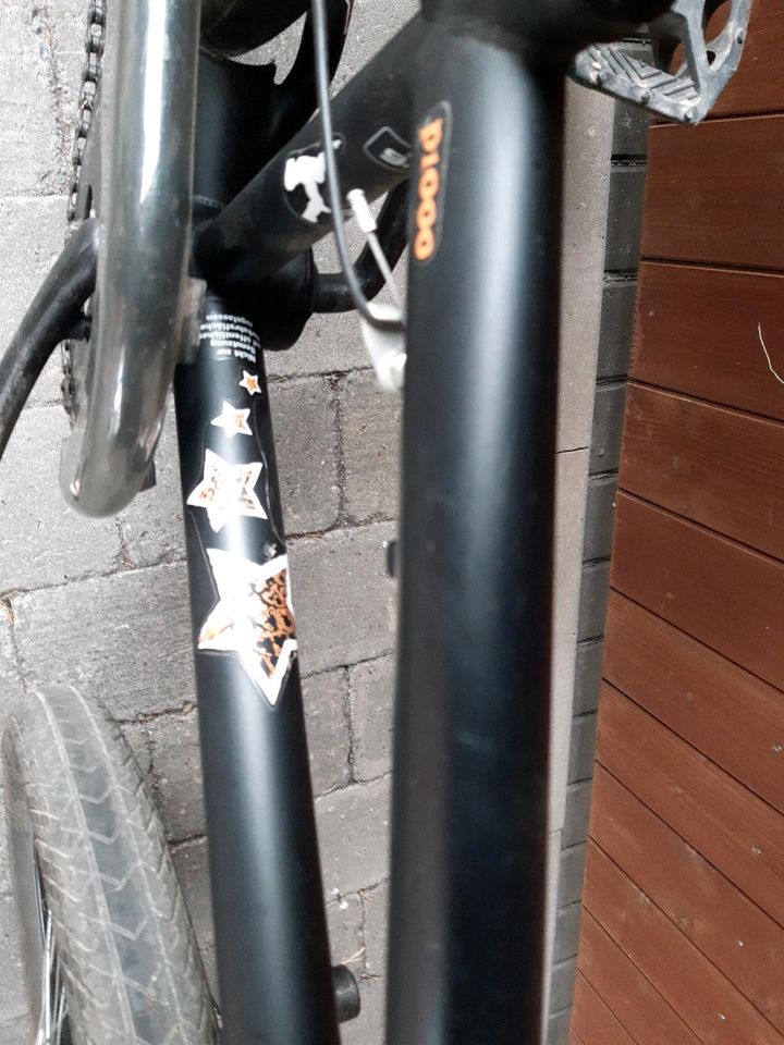 BMX Rad 20 Zoll, fishbone P1000 in Telgte