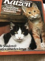 Katzen von Helga Fritsche, neu Nordrhein-Westfalen - Sprockhövel Vorschau