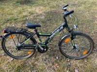 24“ Fahrrad Mountainbike - Alu! Pegasus Bayern - Untersiemau Vorschau