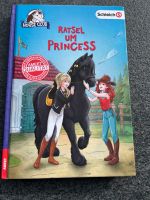 Buch Horse Club Schleich Rätsel um Princess Bayern - Vöhringen Vorschau
