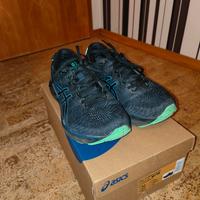 Asics Gel Cumulus Gore-Tex GTX Laufschuhe Gr. 44 Nordrhein-Westfalen - Paderborn Vorschau