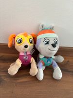 Paw Patrol Sky & Everest Nordrhein-Westfalen - Iserlohn Vorschau