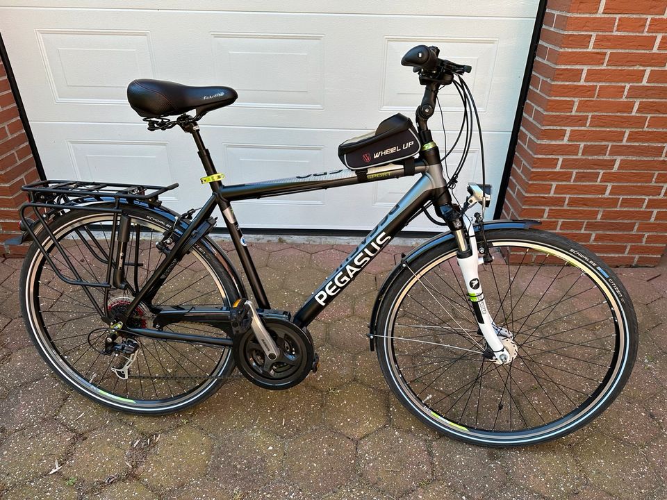 Pegasus Solero SL 28 Zoll Fahrrad 53cm Rahmenhöhe in Rhauderfehn