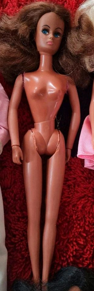 Barbie verschiedene sommerwind karina busch steffi face in Schneverdingen