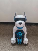 Ziggy Roboter Hund Nordrhein-Westfalen - Witten Vorschau