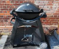 Weber Grill ( Das Ei ) Schleswig-Holstein - Itzehoe Vorschau