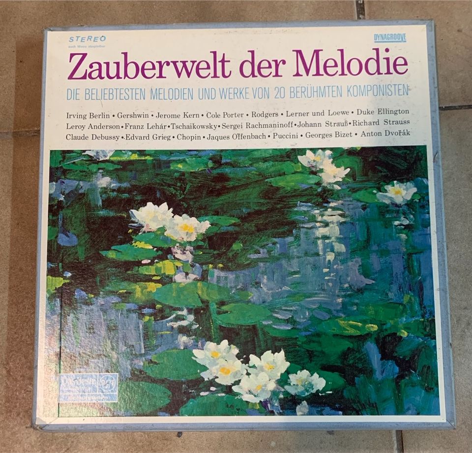 Schallplatten-Sammlung in Püttlingen