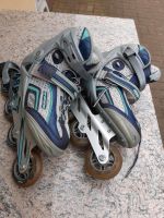 Inline Skater Größe 40 Sachsen - Großschönau Vorschau