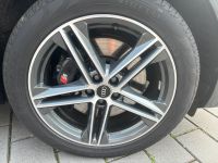 Audi SQ 5 Alufelgensatz 5 Doppelspeichen Sterndesign Nordrhein-Westfalen - Rahden Vorschau