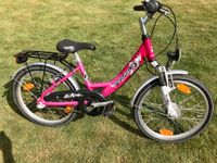 PEGASUS AVANTI Fahrrad Mädchen pink Kinderfahrrad Sachsen - Naunhof Vorschau